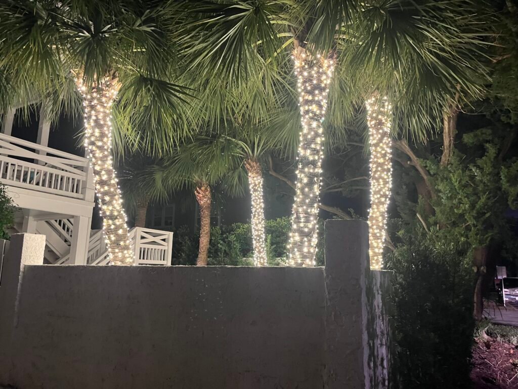 christmas lights on palm trees