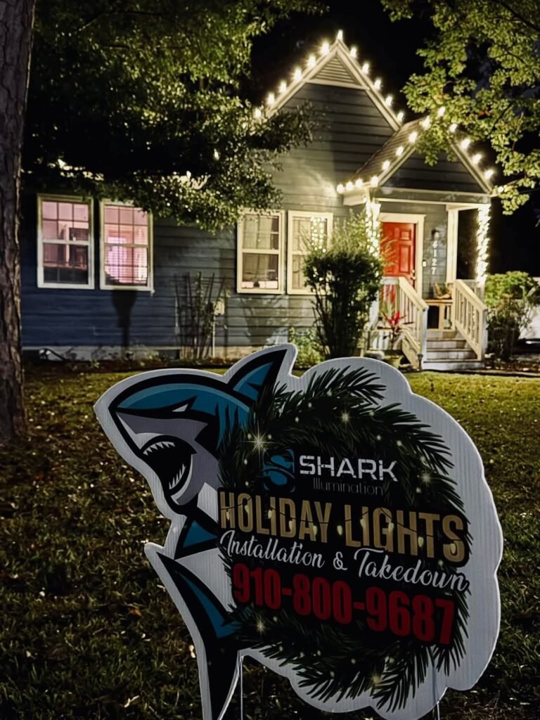 Wilmington Holiday Lighting