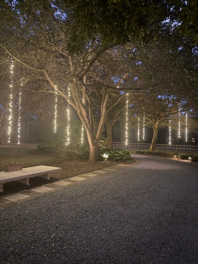 Christmas drop lights hanging from trees over a driveway by Shark Illumination