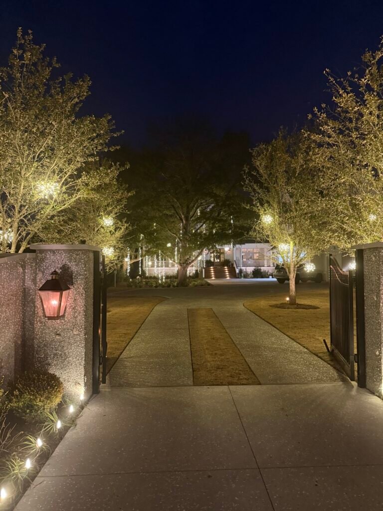 Lighting on trees along a gated driveway by Shark Illumination