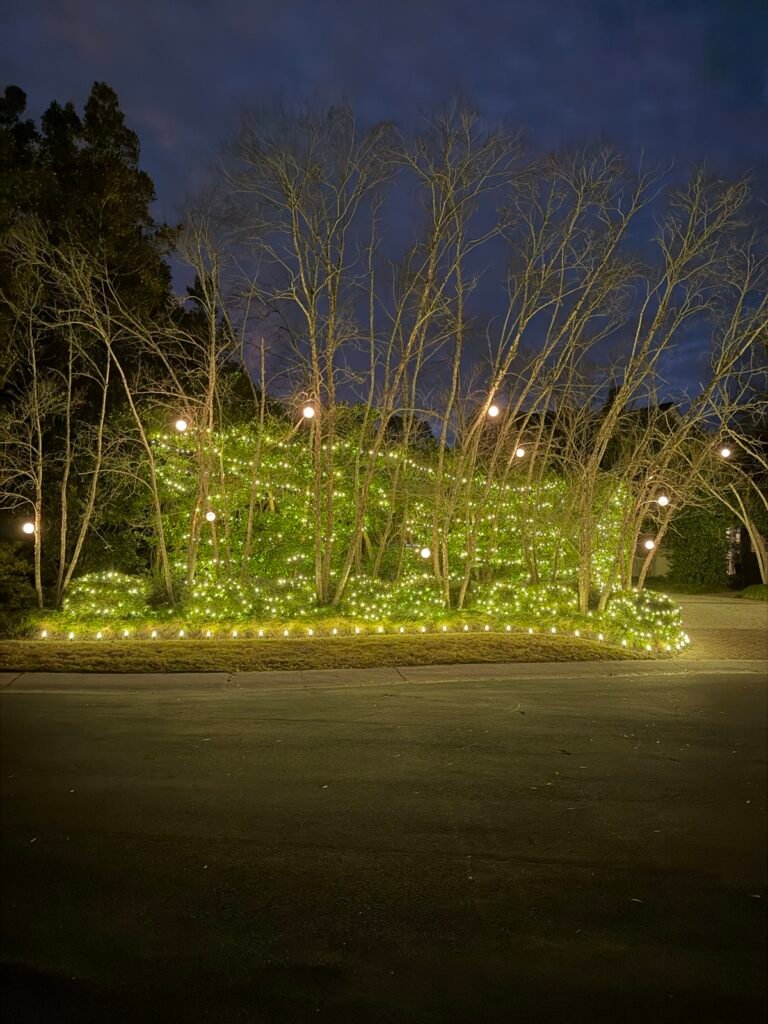 Green Christmas lights wrapped on shrubs and trees by Shark Illumination