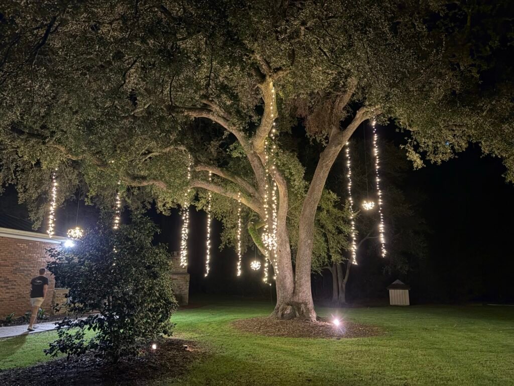 Drop lights hanging from a live oak tree by Shark Illumination