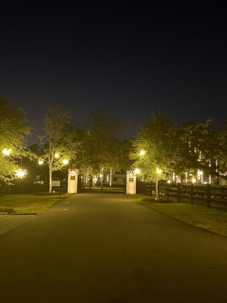 Lighting on a tree-lined driveway at night by Shark Illumination