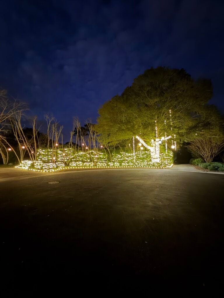 Christmas lights wrapped on a large tree and shrubs by Shark Illumination